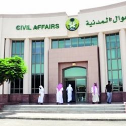 ضبط مخالفات لتوطين الاتصالات بـ170 منشأة بالحدود الشمالية