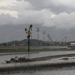 درب زبيدة طريق الحج والتجارة عبر الحدود الشمالية