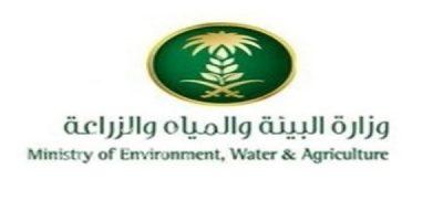 وزارة البيئة تعلن عن توفر عدد من الوظائف الشاغرة