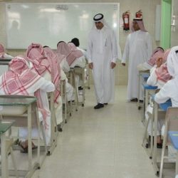 بالفيديو..طرح طائر الحبارى غرب طريف و تسليمه إلى مركز حرة الحرة