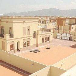 المملكة تبلغ السلطات المصرية بحظر استيراد الفراولة اعتباراً من الشهر المقبل
