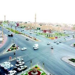 قتل ثعبان بحي العروبة بطريف