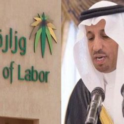 النائب العام يأمر بالإفراج فوراً عن سجينة لعدم كفاية الأدلة