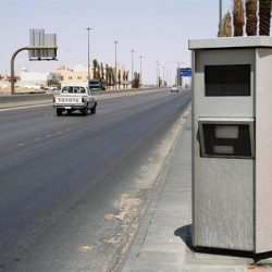 أنباء عن منع السيدات من العمل في عربات “الفود ترك”.. وتجميد النظر في منحهن تراخيصها
