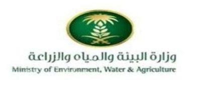 الإعلان عن (213) وظيفة في وكالة الثروة الحيوانية