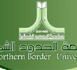 بدء التحقيق في قضية تعيين المحاضرة اللبنانية بجامعة الشمالية