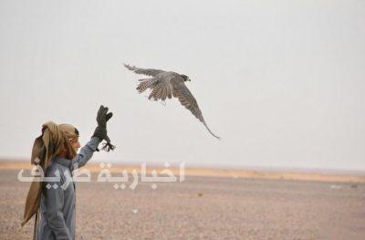 سياحة الشمالية تدعو صقاري الحدود الشمالية تسجيل بياناتهم في الهيئة