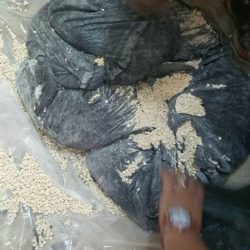 تكليفات جديدة في “سياحة الشمالية”