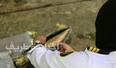 جمرك الحديثة يحبط تهريب 345 ألف حبة مخدرة