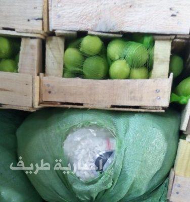 جمرك ميناء ضباء يُحبط تهريب “مليون ونصف” من حبوب “الكبتاجون”
