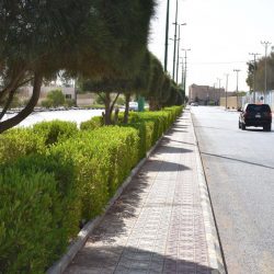 بالفيديو والصور..بلدية طريف تزين أسوار عدد من الشوارع برسومات ثلاثية الأبعاد