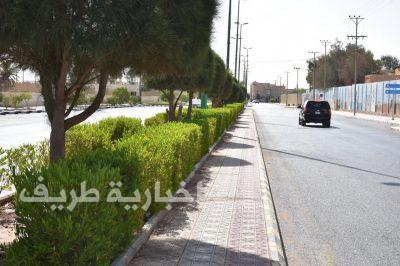 بالصور..بلدية طريف تكسو شوراع وأحياء المحافظة بالأشجار وسط مظهر جمالي رائع