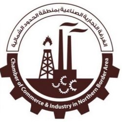 الرويلي : الربيعي من “شلة هلكوني”