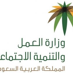 جمرك الدرّة يحبط محاولة تهريب 15 ألف حبة “كبتاجون” و”ترامادول”