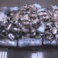 وزارة العمل والتنمية الاجتماعية تنفي زيادة رسوم رخص الوافدين