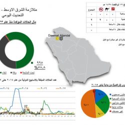 بالفيديو والصور..بلدية طريف تزين أسوار عدد من الشوارع برسومات ثلاثية الأبعاد