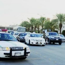 لجنة “الشؤون الاقتصادية والتنمية” توصي بتسريع خصخصة “التعليم” و”الصحة”