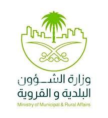 “العدل” تقطع بعدم صحة عمل المحامين المتدربين بالشركات الخاصة