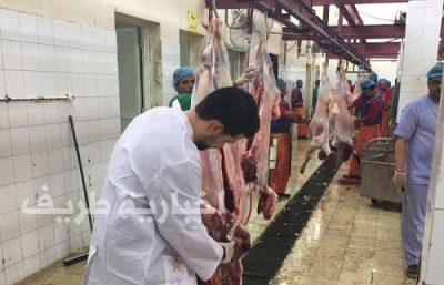 الشؤون البلدية : السماح للمطابخ بذبح الأضاحي.. و283 طبيباً في المسالخ