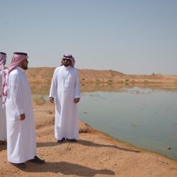 جامعة الشمالية تعلن أسماء المقبولين ومواعيد المقابلات ببرنامج الدبلوم