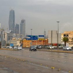 “ريفاس” يقود الهلال للظفر بنقاط مواجهة القادسية بالدوري السعودي