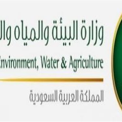 “الإسكان” تعلن عزمها تخصيص أكثر من 9 آلاف وحدة “تاون هاوس” في 6 مدن