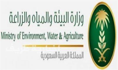 “المياه” تقرر فصل الخدمة عن منشآت القطاع التجاري المتعثرة في السداد