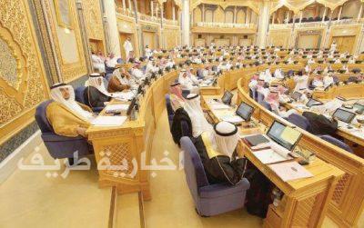 ​​​في انتقاد حاد .. “الشورى” : القطط والكلاب تقوم بواجب عمال النظافة أكثر من الشؤون البلدية