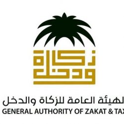 “الغفيص” يصدر قراراً بتعديل صلاحية تأشيرات العمل للقطاع الخاص