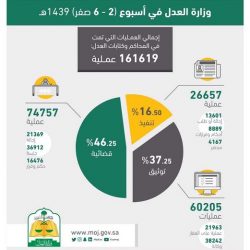 المجلس االأعلى للقضاء يرفض الشهادة من وراء حجاب لحماية الشاهد