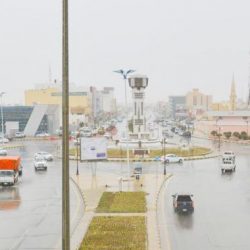 الملحقية الثقافية لسفارة خادم الحرمين الشريفين في عمَّان تكرم الزميل الرويلي