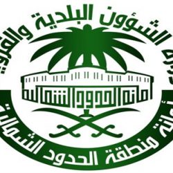 القوات السعودية تتمكن من قتل عشرات الانقلابيين وتدمير 3 صواريخ و3 مدافع متحركة قبالة الخوبة بجازان