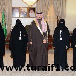 أمير الحدود الشمالية يستقبل مدير عام الشركة السعودية للكهرباء