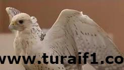 فعاليات جناح منطقة الحدود_الشمالية بالجنادرية 32