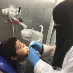 “سياحة الشمالية” تختتم الورشة التأهلية للمرخصين السياحيين