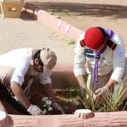 “معادن” تعزز حضورها في أسواق الفوسفات بأفريقيا