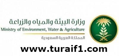 “البيئة” تلغي تأجير 38 مشروع دواجن بمنطقة الحدود الشمالية وتعتزم طرح فرص أخرى