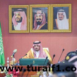 أمير منطقة الحدود الشمالية يشكل مجلس التنمية السياحية بالمنطقة