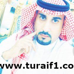 دوري النجوم السعودي للمحترفين