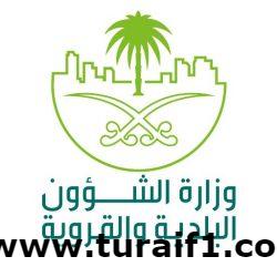 التعليم تعلن دول الابتعاث وكندا خارج القائمة