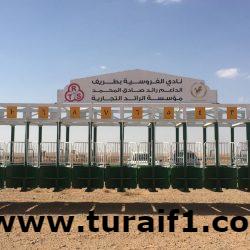 ولي العهد يستعرض المبادرات الاستثمارية مع رئيس ماستر كارد