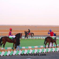 وزارة العدل تعلن بدء التقديم على المسابقة الوظيفية.. هنا رابط التقديم