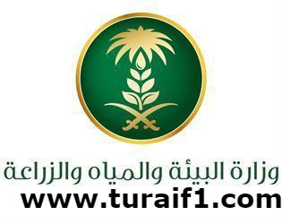 تكليف المهندس عبداللطيف الحازمي بالإشراف على فرع المياه بطريف