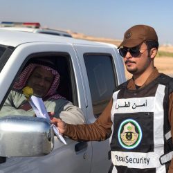 مهرجان الصقور ينطلق بحلته الجديدة