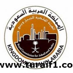 “المرور”: الوقوف على خط المشاة والإشارة حمراء مخالفة.. وهذه غرامتها