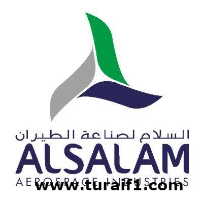 الإعلان عن توفر 33 وظيفة إدارية وفنية للرجال بمجال الطيران.. مرفق رابط التقديم
