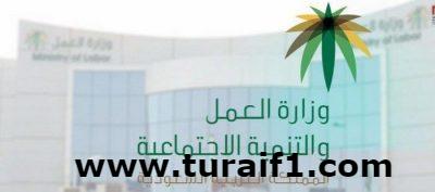 “العمل والتنمية” تطلق مبادرة المليون متطوع الخميس المقبل