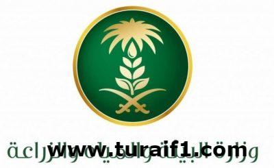 “البيئة” تدعو (8) متقدمين بدلاء على وظائفها لسرعة مطابقة بياناتهم النهائية