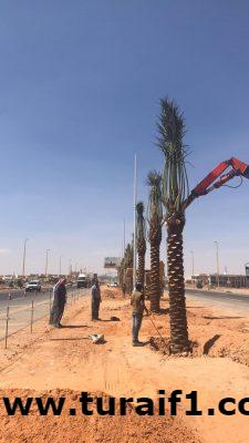 بلدية طريف تواصل جهودها في تحسين المشهد الحضري بالمحافظة
