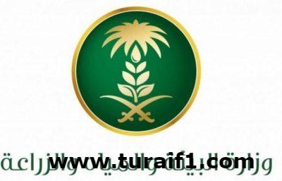 “البيئة” تعلن أسماء المرشحين لشغل 100 وظيفة